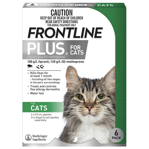 Frontline Plus cat front