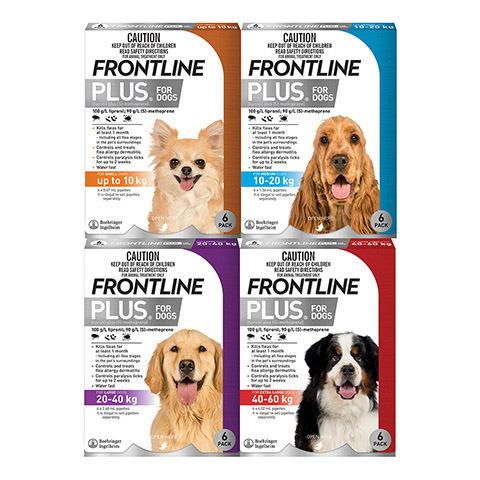 Frontline Plus dog range shot
