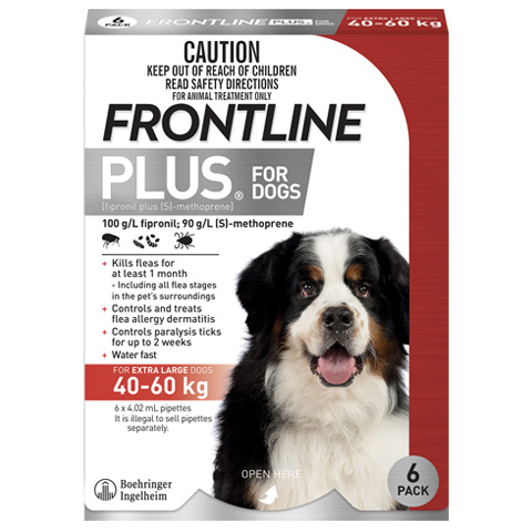 Frontline Plus dog extra large front