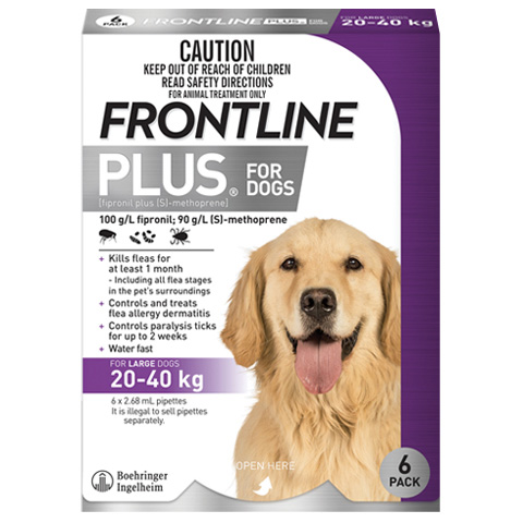 Frontline Plus dog large front