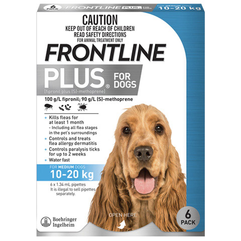 Frontline Plus dog medium front